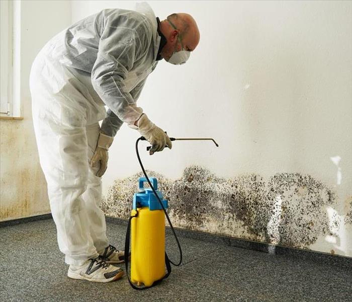 Mold Remediation