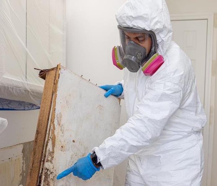 Mold Remediation Clean Up